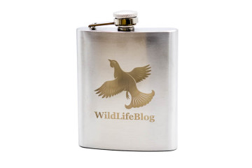 Ploskačka s potlačou - gravírovanie;Placatka s potiskem - gravírování