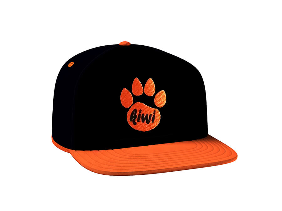 Šiltovka s potlačou - výšivka;Kšiltovka s potiskem - výšivka