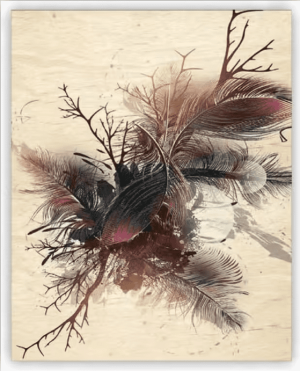 Wooden image of Feathers - Reklamnepredmety
