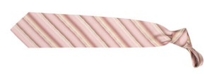 Tienamic tie - Reklamnepredmety