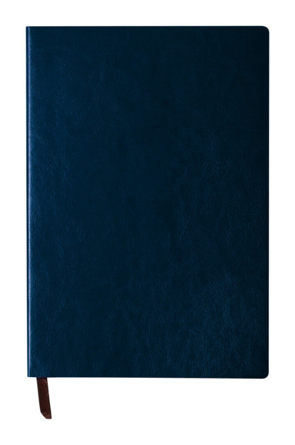 Paldon notebook