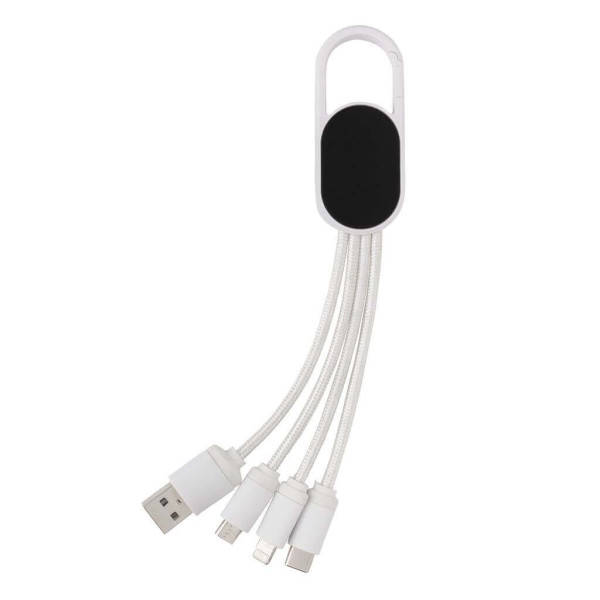 4-in-1 cable with carabiner clip