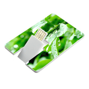 USB FLASH DRIVE PLASTIC CARD - Reklamnepredmety