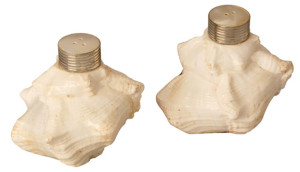 Set of bidon for salt and pepper