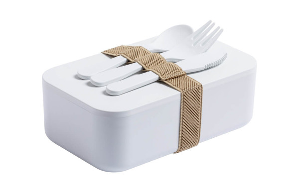 Compostable lunch box