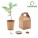 Eko balíček so semienkom stromu GROWTREE™ - mo6228-13 - variant Mo MO6228-13