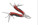 SCHWARZWOLF ARMADOR NEW combination tool - f2400403aj3_b - variant I F2400403AJ3