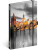 NOTIQUE Notes Praha, linajkovaný, 13 x 21 cm - a-8515_tit - variant Pg A-8515