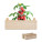 Paradajkový set v prepravke TOMATO - mo6498-40 - variant Mo MO6498-40