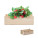 Jahodový set v prepravke STRAWBERRY - mo6506-40 - variant Mo MO6506-40