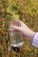 Tritan™ Renew bottle 0,5L Made In EU - p433.467__m_400 - variant XD P433.467