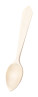 spoon - ap722491_vbqj1dr9 - variant Ap 722491