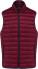 Men's lightweight vest K6113 - image-283308 - variant