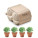 Set of 4 clay terracotta pots CRESS - mo6886-13 - variant Mo MO6886-13