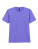 Adult Softstyle® T-Shirt - g65000-violet - variant