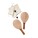 VINGA Colos beach tennis game - v4530009__b_1 - variant XD V4530009