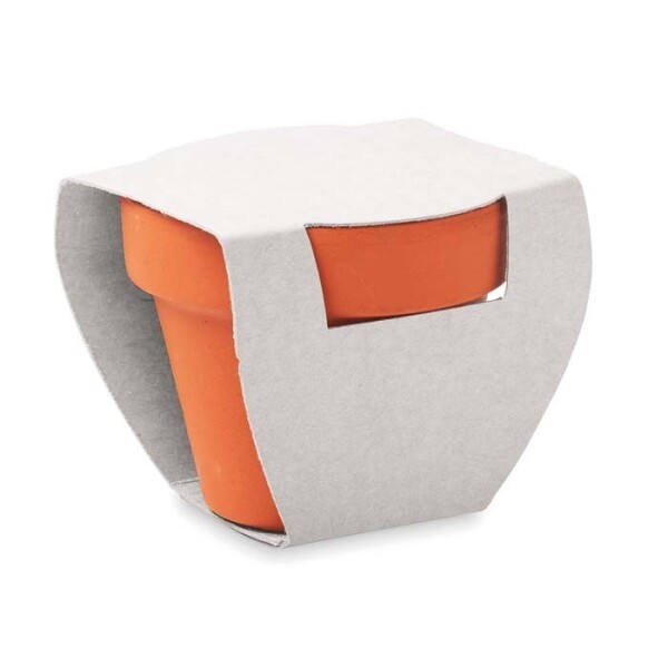 Terracotta Flower Pot with Seeds and Custom Printed Paper Sleeve