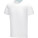 Balfour men's organic short sleeve t-shirt - 3802401 - variant PF 38024010