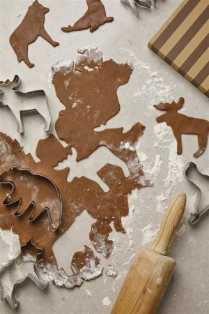 VINGA Nordic big 5 cookie cutter 5-piece set - Reklamnepredmety