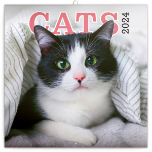 Poznámkový kalendár Mačky 2024, 30 × 30 cm - Reklamnepredmety