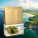 Coffee beans Nicaragua SHG - nicaragua-fb-1 - variant