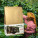 Coffee beans Sumatra Mandheeling - sumatra-fb1-1 - variant