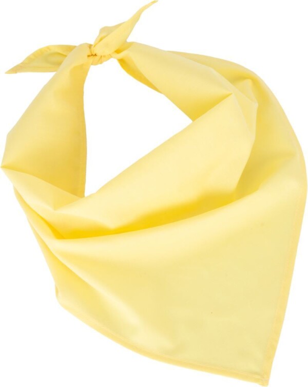 Fiesta scarf