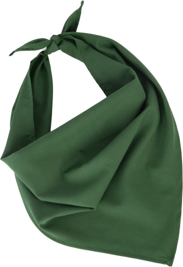 Fiesta scarf
