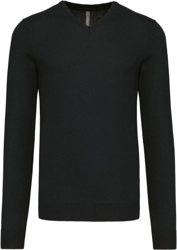 Men's V-Neck Sweater