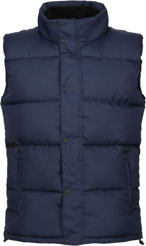 Northdale insulated vest