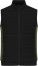 Men's vest with lining - image-331365 - variant