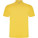 Austral unisex polo shirt with short sleeves - R66321B - variant PF R66321B1