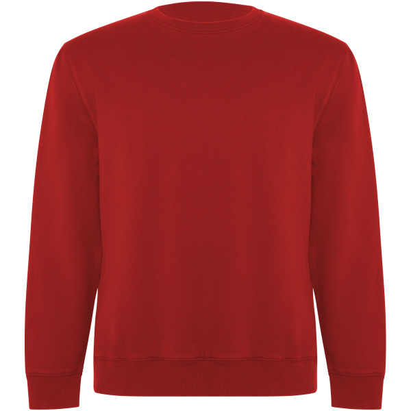 Batian unisex crewneck sweater