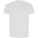 Golden men's t-shirt with short sleeves - R66901Z - variant PF R66901Z1