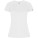 Imola women's short-sleeved sports t-shirt - R04281Z - variant PF R04281Z1
