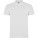 Star short sleeve men's polo - R66381Z - variant PF R66381Z1