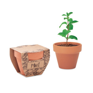 Small pot with mint seeds - Reklamnepredmety