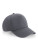 Authentic 5 Panel Cap - 1334680 - variant