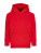 Kids Hoodie Condor - 2395767 - variant