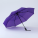 PRIMO HARVARD AUTOMATIC UMBRELLA - 6_30 - variant Co US15-PR