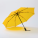 PRIMO HARVARD AUTOMATIC UMBRELLA - ofertownik_inserts_2025_cz2_7 - variant Co US15-YL