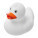 Blankenberge duck - 230806_0 - variant Eg 230806