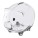 Leicester pig - 623566_1 - variant Eg 623566