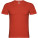 Samoyedo men's V-neck short-sleeved T-shirt - R65034I - variant PF R65034I1