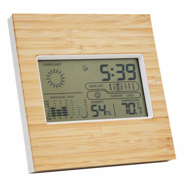 Weather station FORECAST