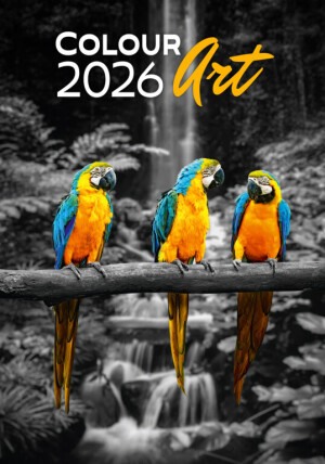 Colour Art Calendar - Reklamnepredmety