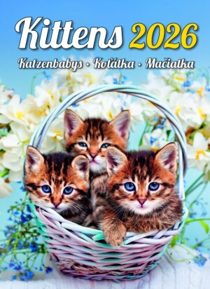 Kittens Calendar - Reklamnepredmety