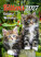 Calendar Kittens - N180-27_013 - variant He N180-27