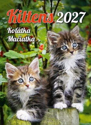 Calendar Kittens - Reklamnepredmety