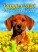 Calendar Puppies - N181-26_013 - variant He N181-26